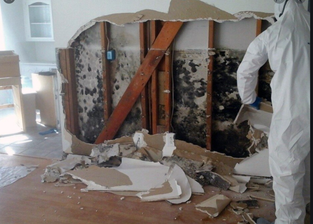 A worker in protective gear removes moldy drywall,